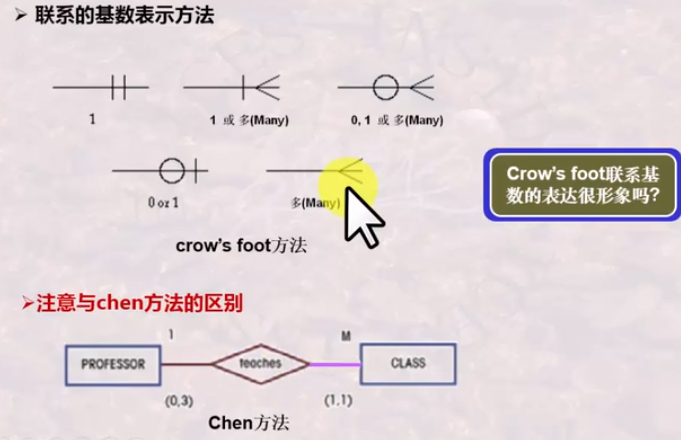联系的基数表示