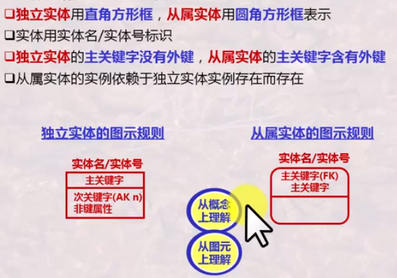 实体规则